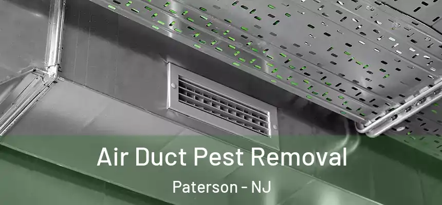 Air Duct Pest Removal Paterson - NJ