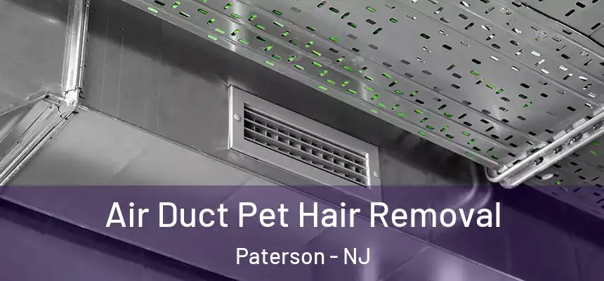 Air Duct Pet Hair Removal Paterson - NJ