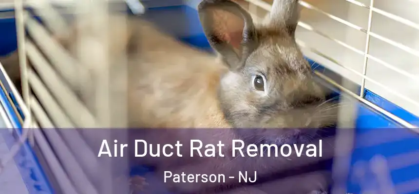 Air Duct Rat Removal Paterson - NJ