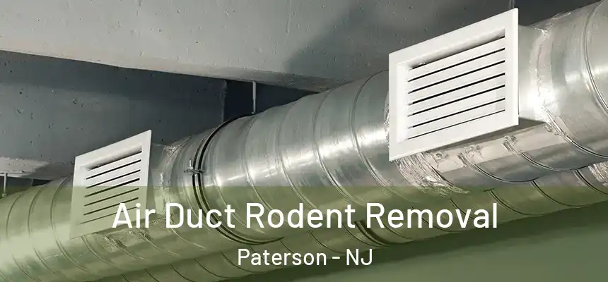 Air Duct Rodent Removal Paterson - NJ