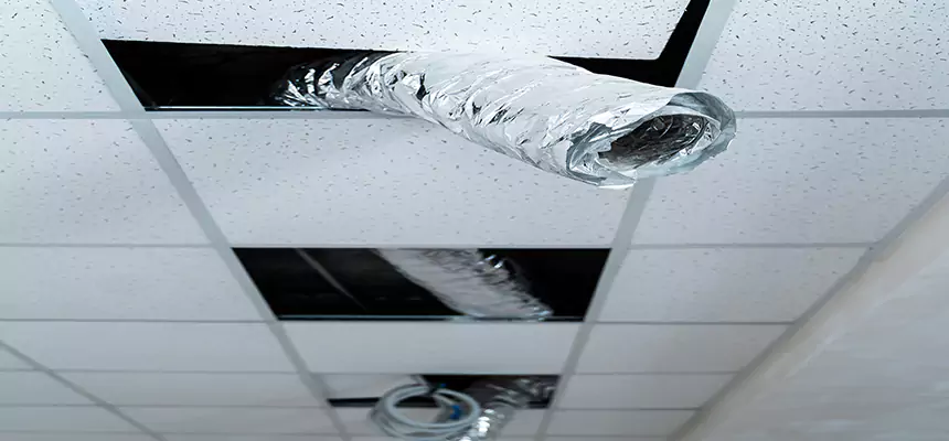 Affordable HVAC Sanitizing After Pest Removal in Paterson