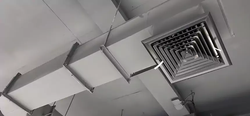 Our Pest Removal From Ducts Services in Paterson, NJ