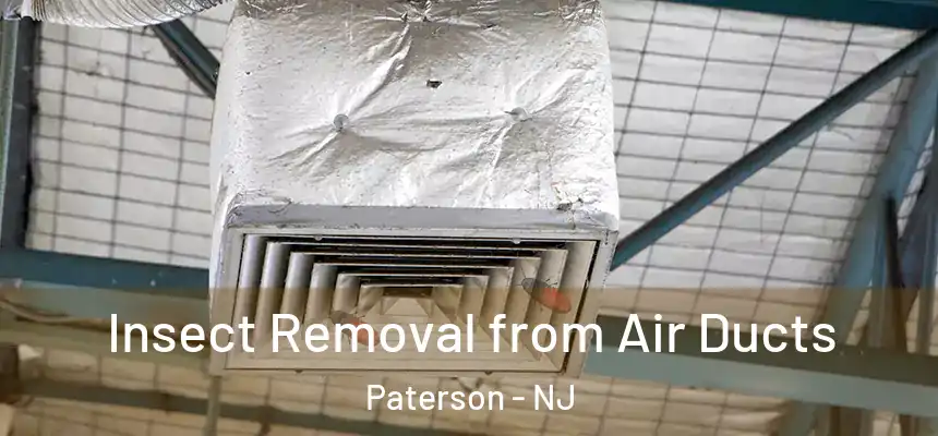  Insect Removal from Air Ducts Paterson - NJ