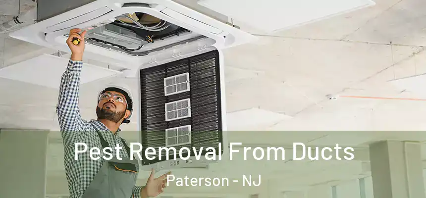 Pest Removal From Ducts Paterson - NJ