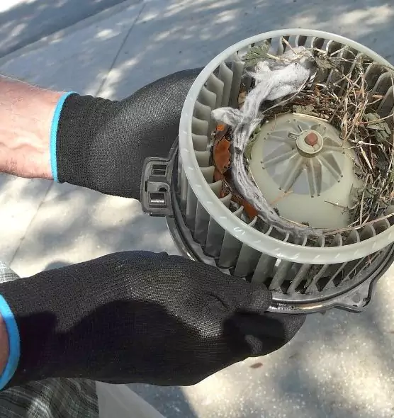 About Air Duct Mice Removal in Paterson, NJ