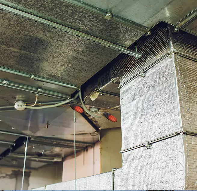 Why Homeowners & Businesses Trust Us Paterson, NJ?